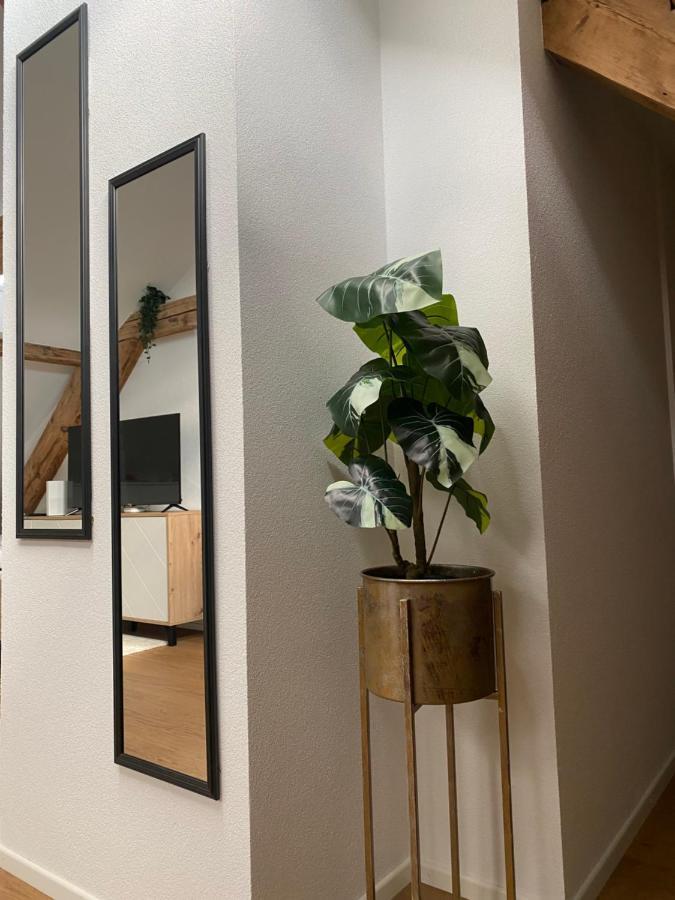 Eine Schoene Wohnung An Der Birs バーゼル エクステリア 写真